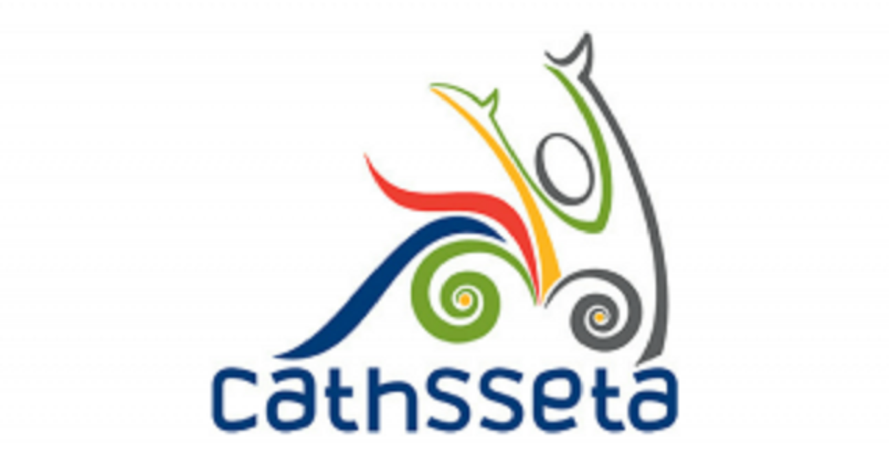 CATHSSETA Internship Programme